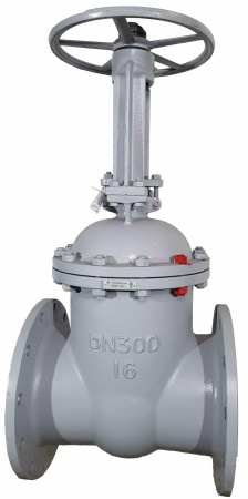 Zadvizhka-stalnaya-klinovaya-30s41nzh-DN300-PN16