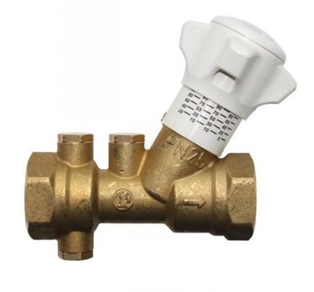 бал джикамини