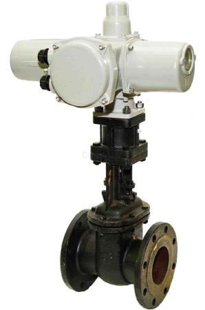 390eafcee98a8ec730cac7f0a4b65f9d