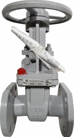 Zadvizhka-stalnaya-klinovaya-30s41nzh-DN50-PN16